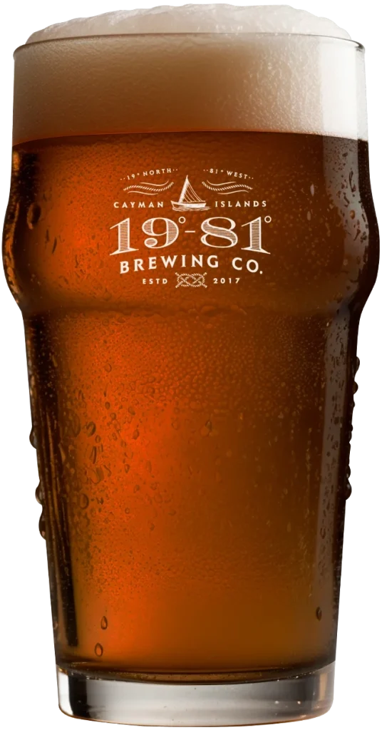 1981 Beer Ipa