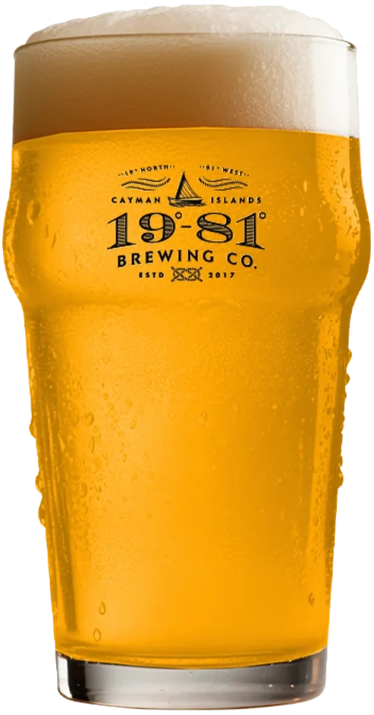 1981 Beer Loosey Goosey