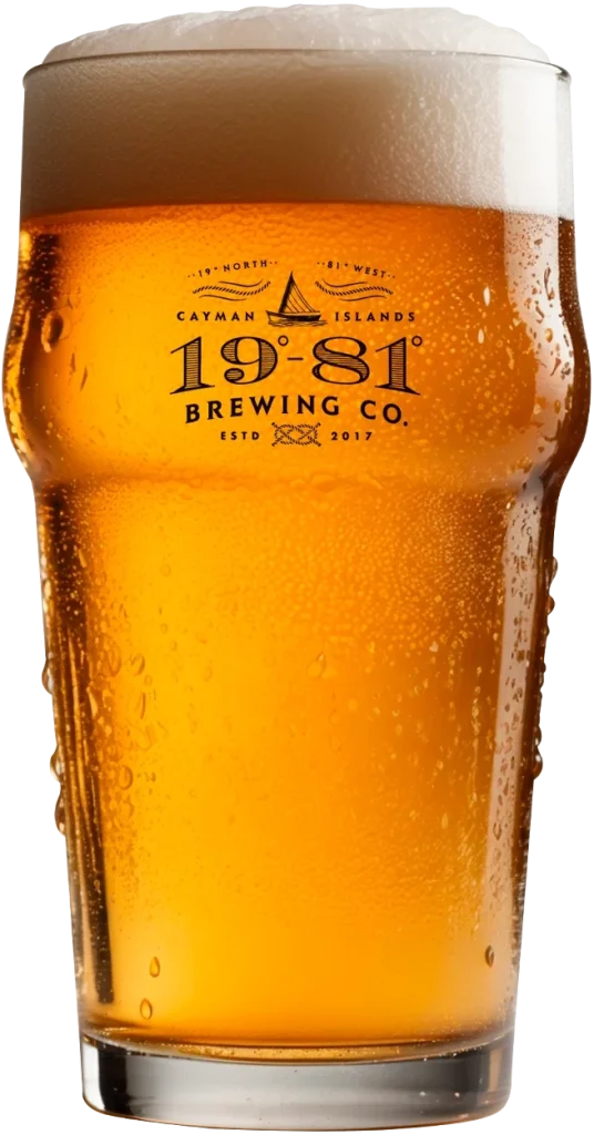 1981 Beer Normal